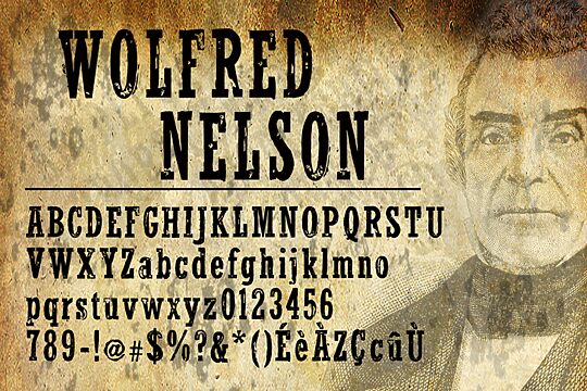 Wolfred Nelson