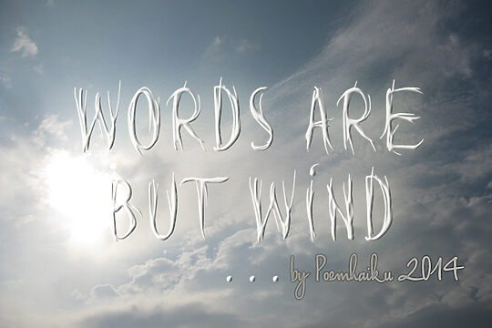 Words are but wind