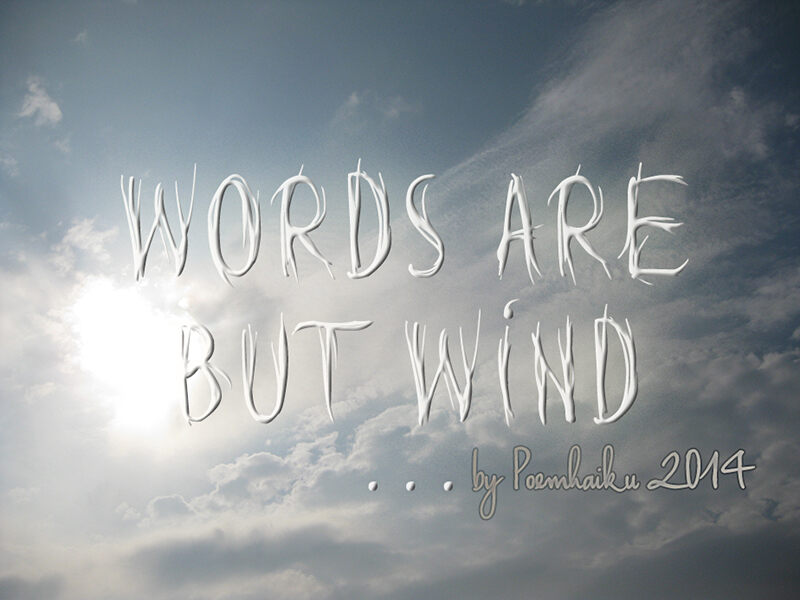 Words are but wind