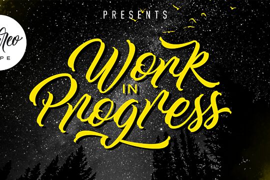 Work In Progress