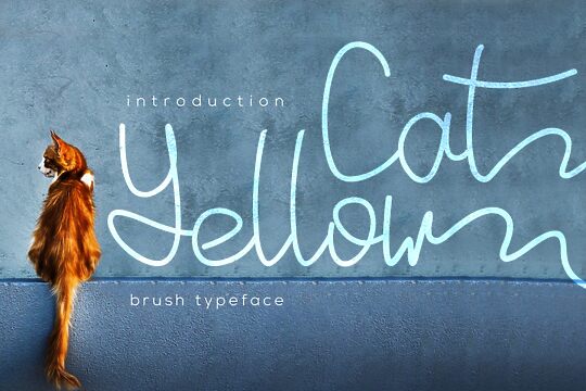 Yellow Cat