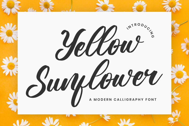 Yellow Sunflower