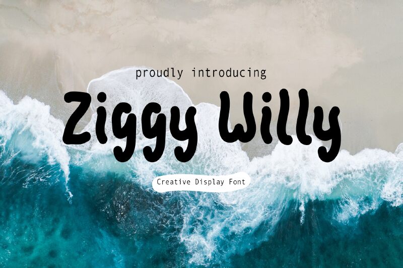 Ziggy Willy