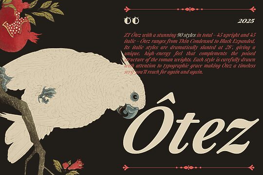ZT Otez